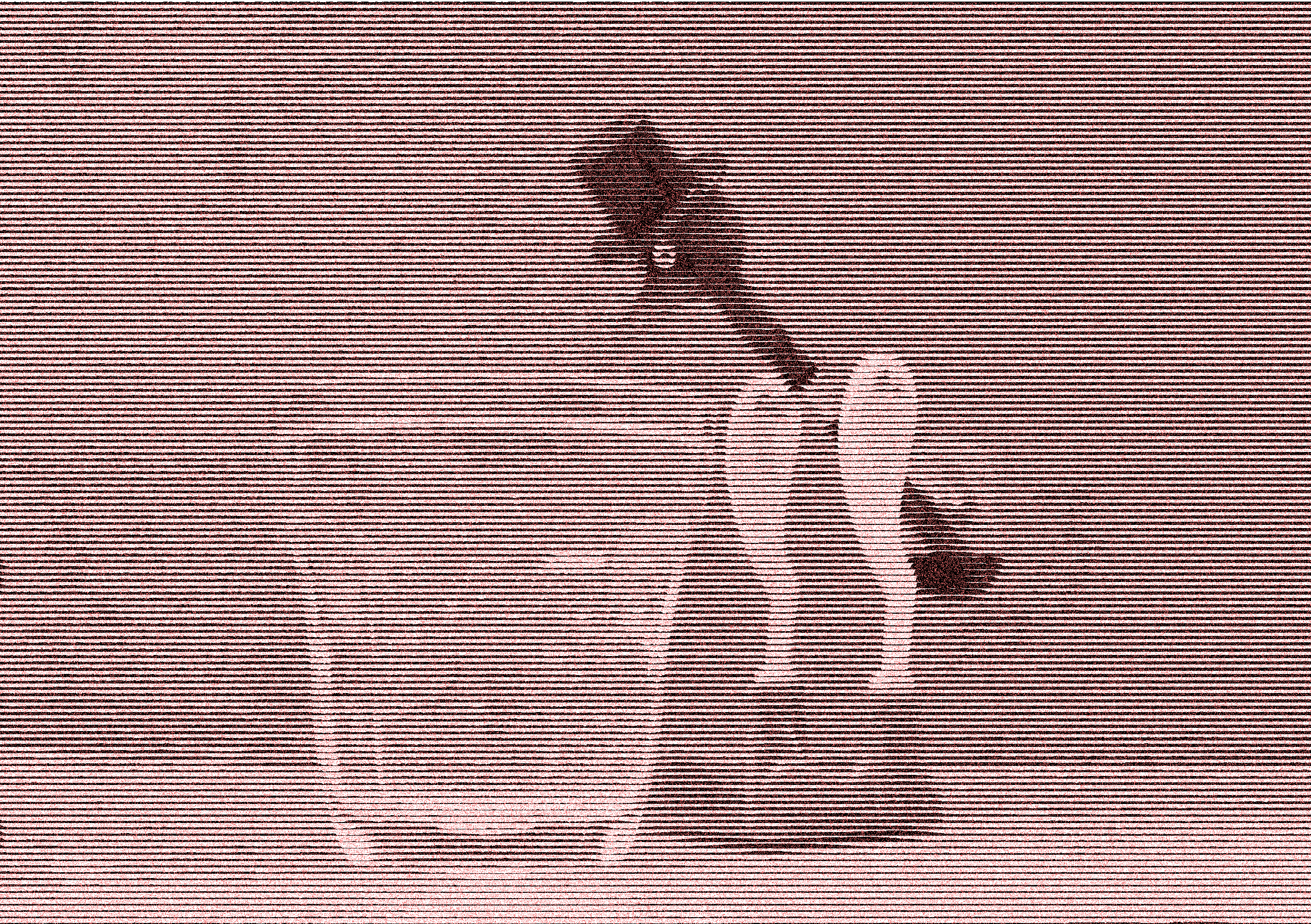 El Susurro de las Cosas